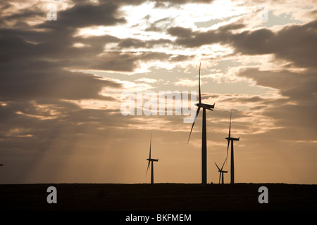 Schwarzes Gesetz-Windpark in der Nähe von Carluke in Schottland, Großbritannien. Als es gebaut wurde, war es der größte Windpark in Großbritannien mit 54 Turbinen Stockfoto