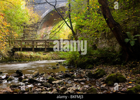 Fluss Wye mit Brücke sichtbar hinter Chee Dale in der Nähe von Bakewell im Peak District Nationalpark Derbyshire England Stockfoto