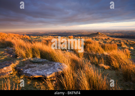 Goldenes Licht auf der Heide am Belstone Tor, Dartmoor National Park, Devon, England. Winter (Dezember) 2009 Stockfoto