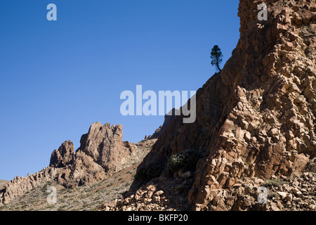 Teneriffa, Las Canadas Stockfoto