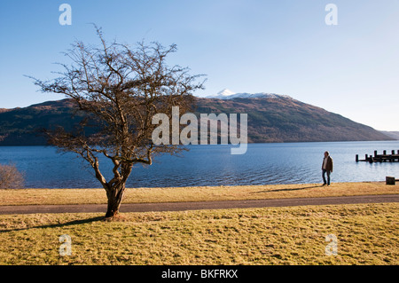 Das Wasser vorne bei tarbet am westlichen Ufer des Loch Lomond, Schottland, Großbritannien. Stockfoto