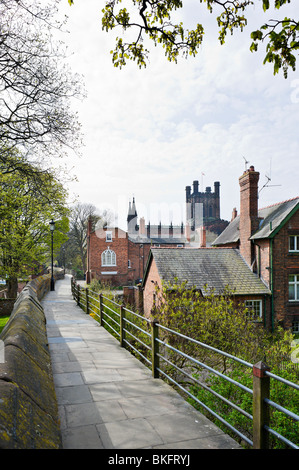 Die Stadtmauer mit der Kathedrale in der Ferne, Chester, Cheshire, England, UK Stockfoto