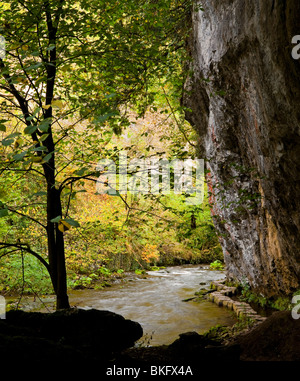 Fluss Wye mit Felsen sichtbar hinter Chee Dale in der Nähe von Bakewell im Peak District Nationalpark Derbyshire England Stockfoto