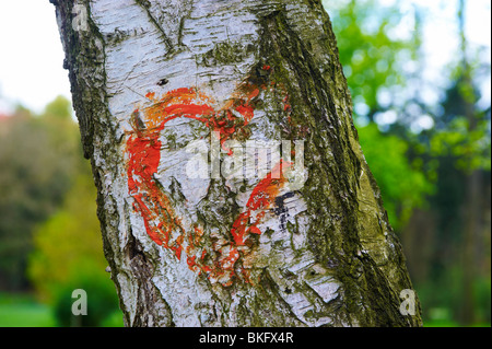 Herz auf Rinde gemalt Stockfoto