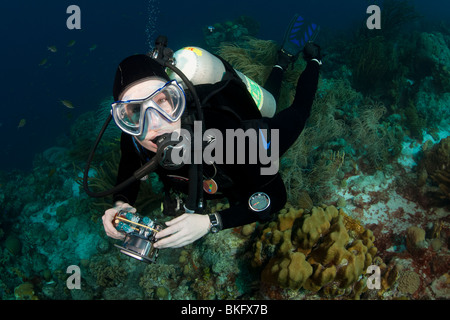 Taucher mit ihrer Kamera schwimmen über ein tropisches Korallenriff in Bonaire, Niederländische Antillen. Stockfoto