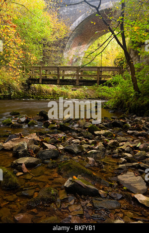 Fluss Wye mit Brücke sichtbar hinter Chee Dale in der Nähe von Bakewell im Peak District Nationalpark Derbyshire England Stockfoto