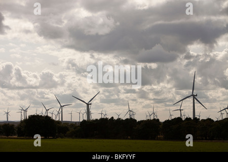 Schwarzes Gesetz-Windpark in der Nähe von Carluke in Schottland, Großbritannien. Als es gebaut wurde, war es der größte Windpark in Großbritannien mit 54 Turbinen Stockfoto