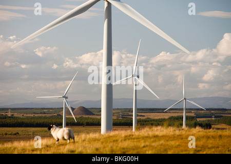 Schwarzes Gesetz-Windpark in der Nähe von Carluke in Schottland, Großbritannien. Als es gebaut wurde, war es der größte Windpark in Großbritannien mit 54 Turbinen Stockfoto