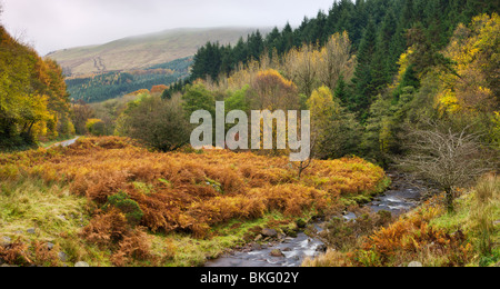 Der Fluss Caerfanell an Blaen-y-Glyn, Brecon Beacons National Park, Powys, Wales, UK. Herbst (Oktober) 2009 Stockfoto