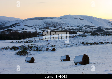 Schneebedeckte Bracken Ballen auf Mynydd Illtud Common unterstützt durch verschneite Berge, Brecon Beacons National Park, Powys, Wales, UK. Stockfoto