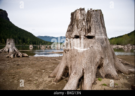 Ein Smiley-Gesicht auf einem Baumstamm am See Stockfoto