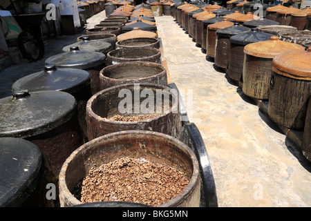 Eine traditionelle Sojasauce Fabrik zeigt in großen Tontöpfen gärenden Sojabohnen. Stockfoto