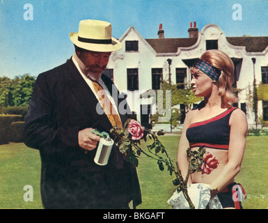 DIE SCHNELLE DAME (1962) JAMES ROBERTSON JUSTICE, JULIE CHRISTIE FLDY 001FOH Stockfoto