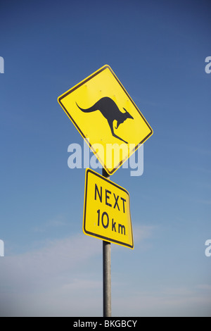 Ein Verkehrszeichen Warnung Fahrer die Möglichkeit Kängurus auf der Autobahn in Australien Stockfoto