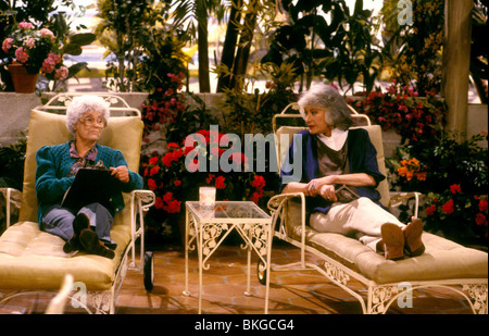 GOLDEN GIRLS (TV) ESTELLE GETTY, BEA ARTHUR GLG 006 Stockfoto