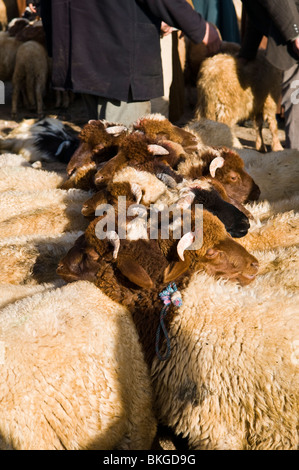 Markt-Szene in den Mittleren Atlas-Region von Marokko. Stockfoto