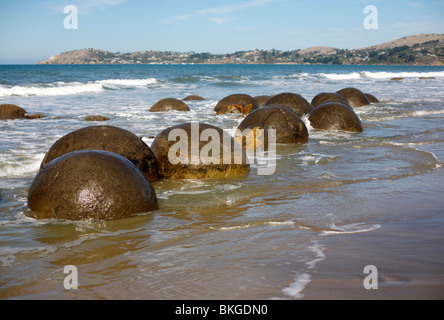 Die Moeraki Boulders in der Nähe von Oamaru auf der Südinsel Neuseelands Stockfoto