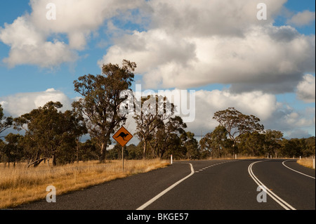 Eucaliptus und Känguru Roadsign flankieren die Straße, Armidale, New-South.Wales, Australien. Stockfoto