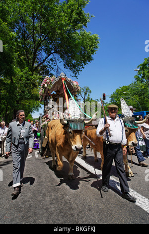 Andalusische Feier, Romeria, Madrid, Spanien Stockfoto