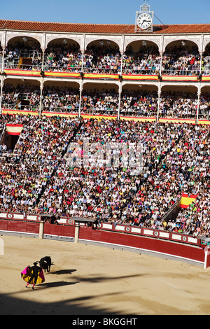 Stierkampf (Corrida de Toros), Stierkampfarena Las Ventas, Madrid, Spanien Stockfoto