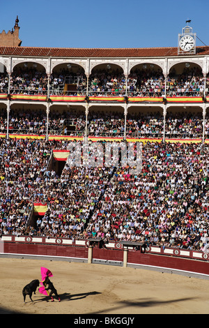 Stierkampf (Corrida de Toros), Stierkampfarena Las Ventas, Madrid, Spanien Stockfoto