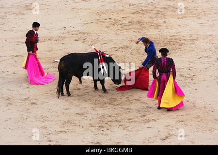 Matador töten ein Stier, Stierkampf (Corrida de Toros), Stierkampfarena Las Ventas, Madrid, Spanien Stockfoto