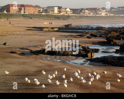 Merewether Beach in Newcastle, New South Wales, Australien Stockfoto