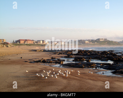 Merewether Beach in Newcastle, New South Wales, Australien Stockfoto