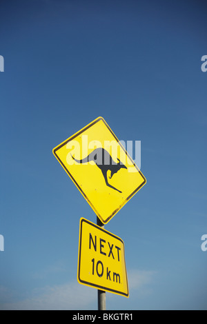 Ein Verkehrszeichen Warnung Fahrer die Möglichkeit Kängurus auf der Autobahn in Australien Stockfoto