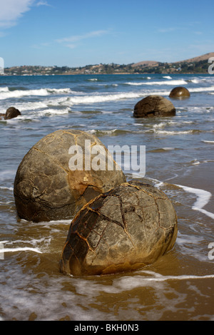 Die Moeraki Boulders in der Nähe von Oamaru auf der Südinsel Neuseelands Stockfoto