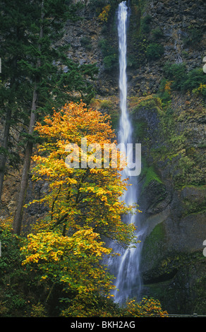 Multnomah Falls in der Columbia River Gorge Scenic Area, Oregon Stockfoto