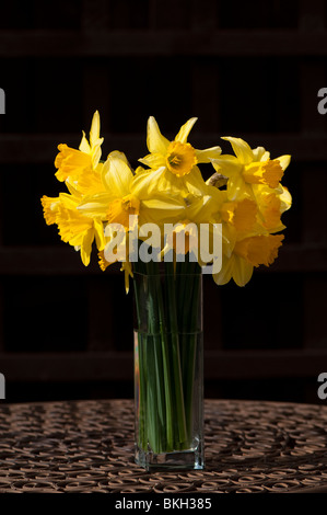Bündel von Narzissen in voller Blüte in einer Vase draußen auf einem braunen Metall Gartentisch Stockfoto