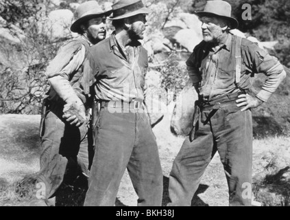 DER SCHATZ DER SIERRA MADRE (1948) TIM HOLT, HUMPHREY BOGART, WALTER HUSTON TTSM 011 Stockfoto