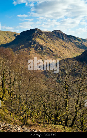 Ansicht von oben der Baumgrenze im Stonethwaite Tal, ein Zweig der Borrowdale im englischen Lake District, um Eagle Crag Stockfoto