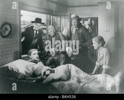 DER ZAUBERER VON OZ (1939) FRANK MORGAN, JUDY GARLAND, CHARLEY GRAPEWIN RAY BOLGER, JACK HALEY, BERT LAHR, CLARA BLANDICK WOZ 003P Stockfoto