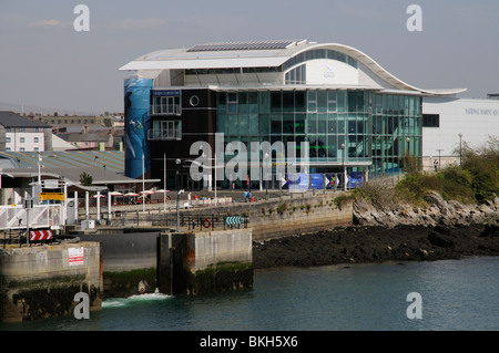 National Marine Aquarium, aufbauend auf dem Barbican Plymouth South Devon England UK Stockfoto