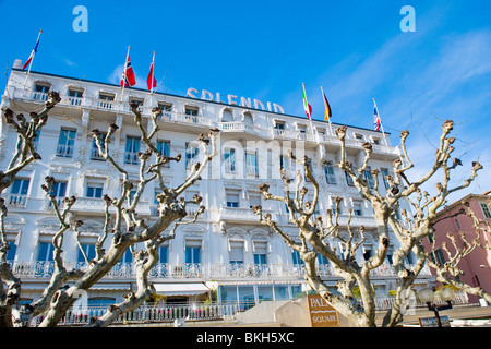 Cannes, die Croisette, Palm Square, Hotel Splendid mit Bäumen im Vordergrund. Stockfoto