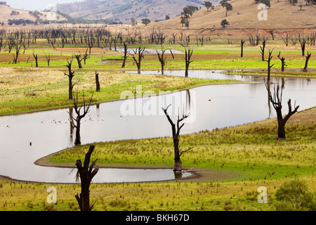 Anhaltende Trockenheit, die Gefahren durch den Klimawandel hinterließ Lake Hume in Australien sehr gering. Stockfoto
