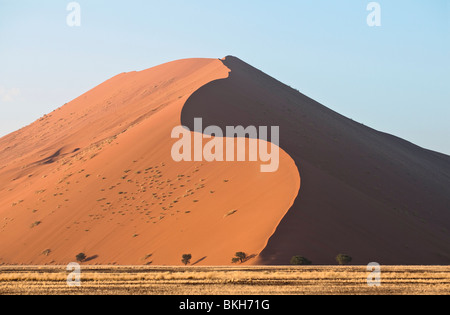 Strong wirft Morgensonne Schatten auf die Düne 45 im Sossusvlei, Namibia Stockfoto