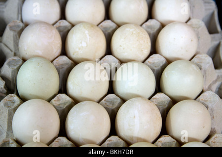 Enteneier zum Verkauf im Borough Market, London Stockfoto