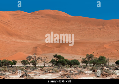 Großen Mama Dünen im Sossusvlei eine der höchsten Dünen der Welt, Namibia Stockfoto