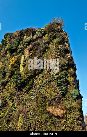 Lebende Wand bei der Caixa Forum, Madrid, Spanien Stockfoto