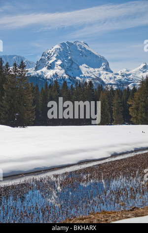 Durmitor Nationalpark, Winter, Schnee, Montenegro Stockfoto