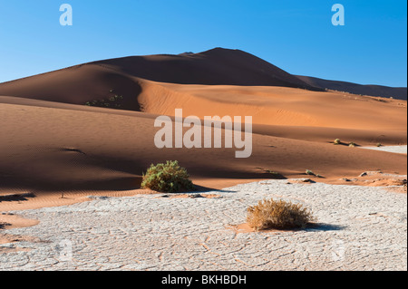 Trockenes Flussbett verlässt eine Craquelure Wirkung im weißen Ton von Big Daddy Dünen im Sossusvlei, Namibia Stockfoto