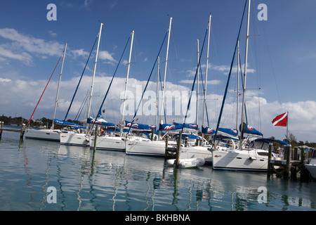 Flotte von Segelbooten bis im rutscht in einer Marina mit einer Tauchflagge festgemacht. Stockfoto