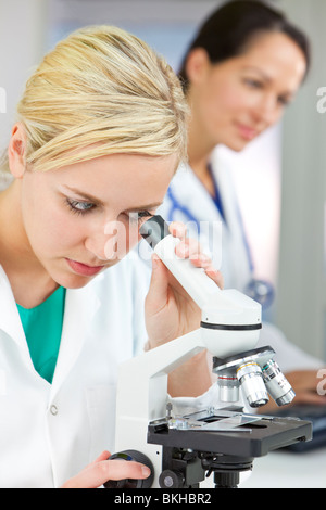 Eine blonde medizinische oder wissenschaftliche Forscherin oder Arzt mit ihrem Mikroskop im Labor mit ihrer Kollegin Stockfoto