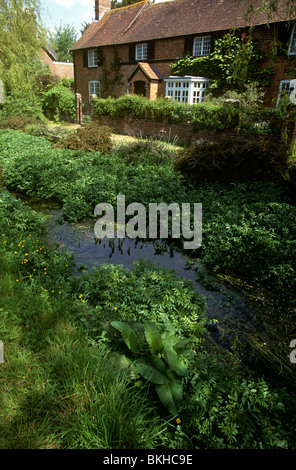 Großbritannien, England, Hampshire, Rockbourne Stockfoto