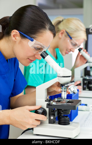 Ein blondes medizinische oder wissenschaftliche Forscherin oder Arzt mit ihrem Mikroskop im Labor mit ihrer Kollegin. Stockfoto