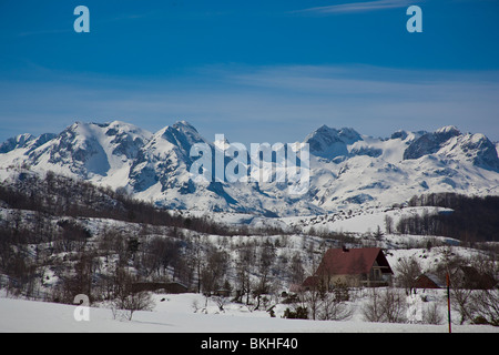 Durmitor Nationalpark, Winter, Schnee, Montenegro Stockfoto