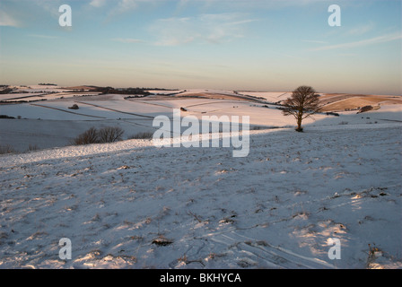 Schnee kommt zu Cissbury Ring auf der South Downs National Park in West Sussex. Stockfoto